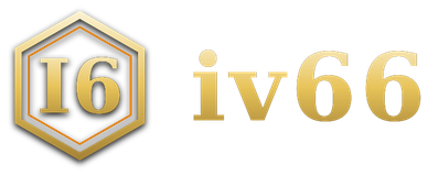iv66 logo